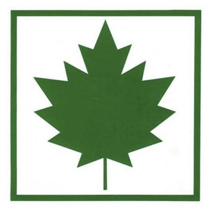 VAHTRALEHT KARTONG 1TK